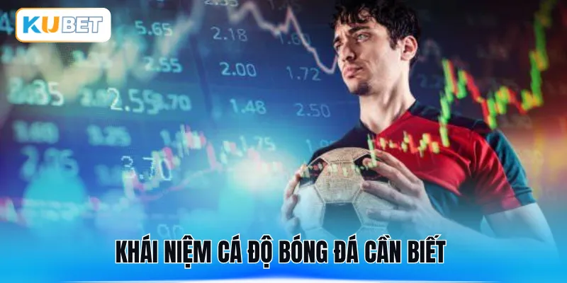 Khái niệm cá độ bóng đá cần biết 